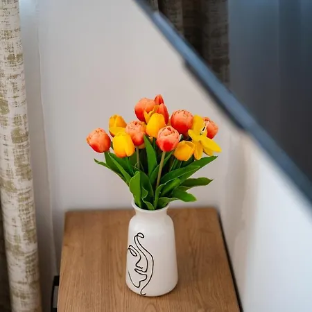 Colorsvibe Apartman Trogir