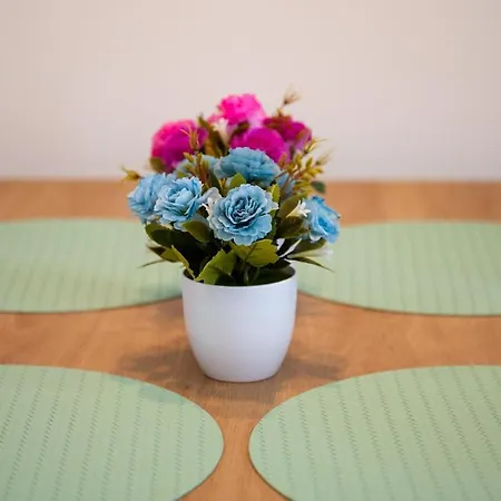 Colorsvibe شقة تروغير